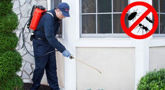 Polateli Dezenfeksiyon böcek ilaçlama ve haşere kontrolü — ilaclama-tr.com
